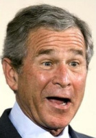 George W. Bush, the village idiot